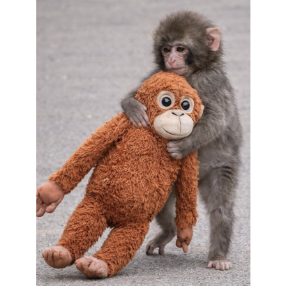 截圖 2026-03-12 下午2.41.48.png