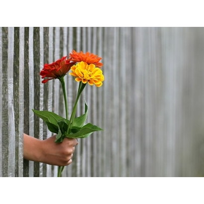 hand-1549399_640.jpg
